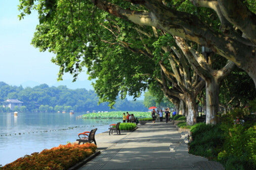 适合慢游的五个地方 杭州游美景