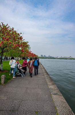 浙江杭州西湖风景区春色.西湖风景区白堤苏堤春天