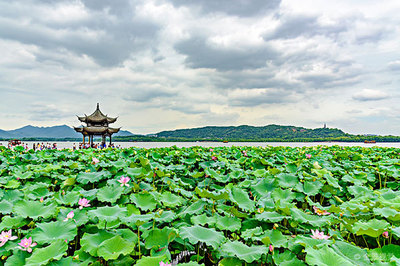 杭州西湖风光图片_杭州西湖风光高清图片_全景视觉